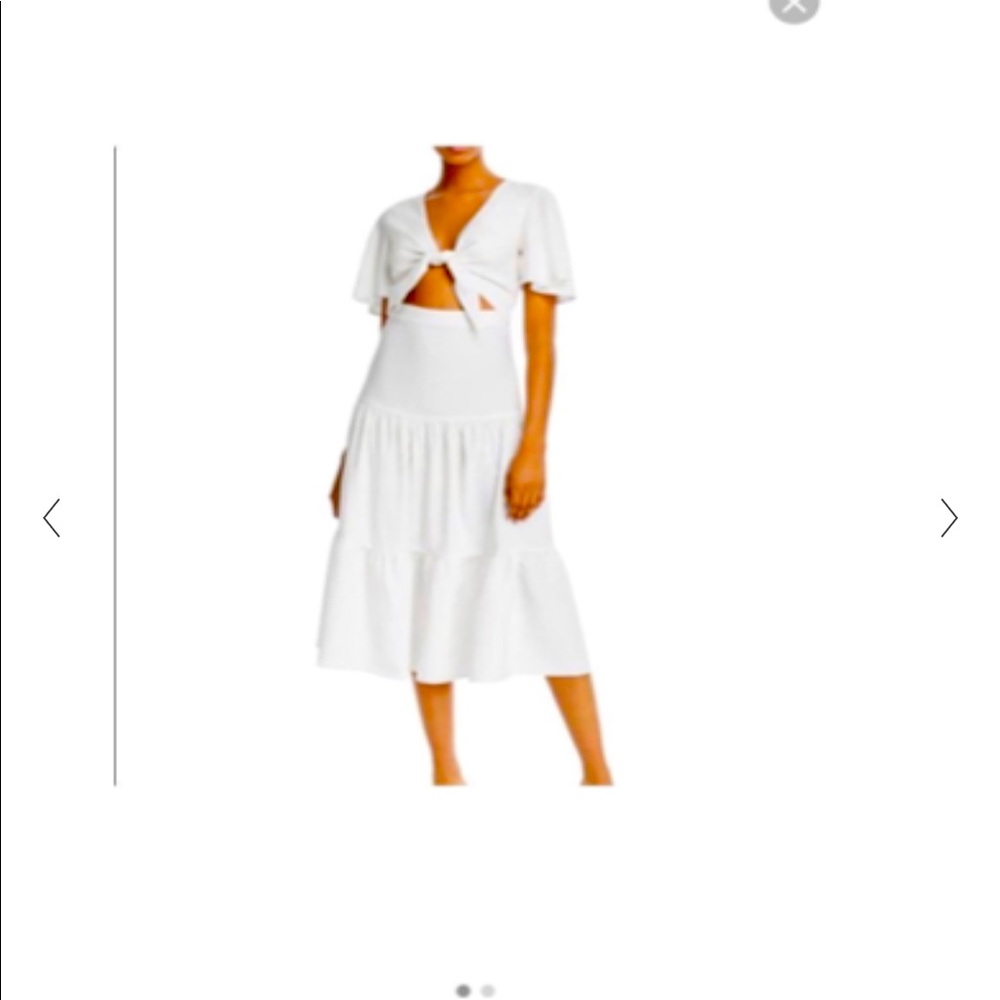 Lani The Label Chest Tie Dress